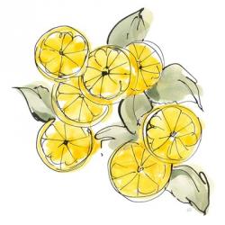 Cut Lemons I | Obraz na stenu