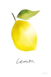 Single Lemon | Obraz na stenu