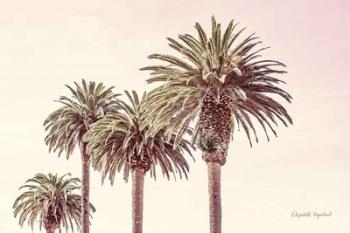 Pastel Palms | Obraz na stenu