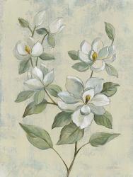 Sage Magnolia | Obraz na stenu