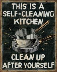 Self Cleaning Kitchen | Obraz na stenu