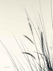 Field Grasses II | Obraz na stenu