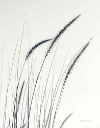 Field Grasses III Crop | Obraz na stenu