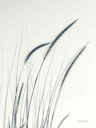 Field Grasses III | Obraz na stenu