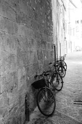 Bicycles in the Alley | Obraz na stenu