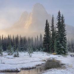 Bell Mountain North Cascades II | Obraz na stenu