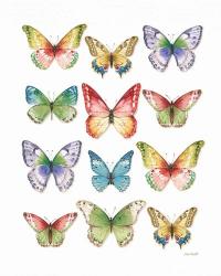Colorful Breeze Butterflies | Obraz na stenu