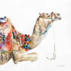 Desert Camel I | Obraz na stenu