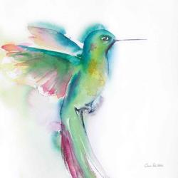 Hummingbirds II | Obraz na stenu