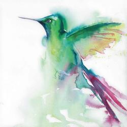Hummingbirds III | Obraz na stenu