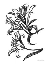 Ink Lilies II | Obraz na stenu