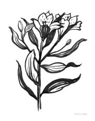 Ink Flower I | Obraz na stenu