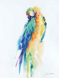 Colorful Parrots II | Obraz na stenu
