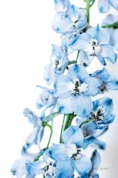 Freshly Picked Delphinium III | Obraz na stenu