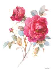 Bold Roses I | Obraz na stenu