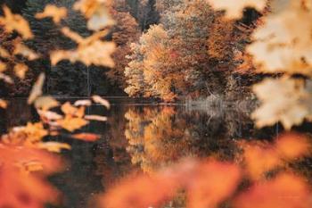 Autumn Reflections | Obraz na stenu