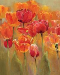 Tulips in the Midst I | Obraz na stenu