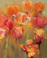 Tulips in the Midst II | Obraz na stenu