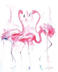 Flamingo Trio | Obraz na stenu