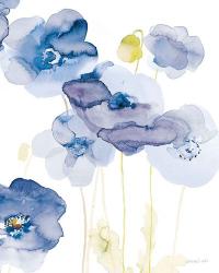 Delicate Poppies II Blue | Obraz na stenu