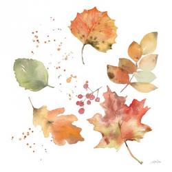 Falling Leaves I | Obraz na stenu