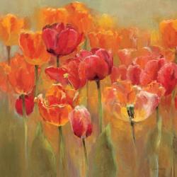 Tulips in the Midst III | Obraz na stenu