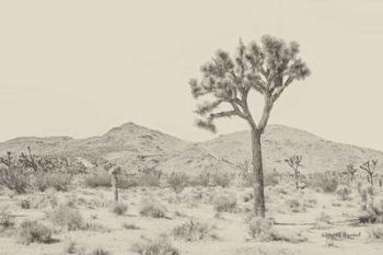 Joshua Tree I Neutral | Obraz na stenu