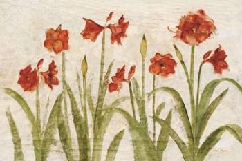 Row of Red Amaryllis Light | Obraz na stenu