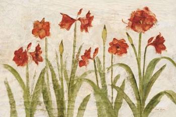 Row of Red Amaryllis Light | Obraz na stenu