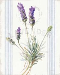Floursack Lavender III | Obraz na stenu