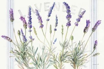 Floursack Lavender V | Obraz na stenu