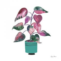 Potted Jewels II Aqua | Obraz na stenu