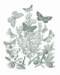 Butterfly Bouquet II Sage | Obraz na stenu