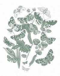 Butterfly Bouquet IV Sage | Obraz na stenu