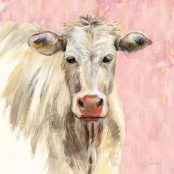 White Cow on Pink | Obraz na stenu