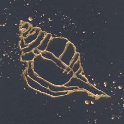 Gold Conch III | Obraz na stenu