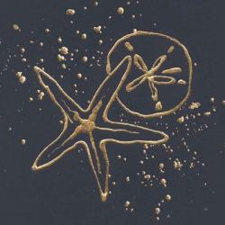 Gold Sand Dollar Starfish | Obraz na stenu