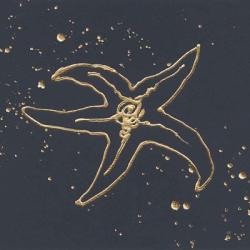 Gold Starfish III | Obraz na stenu