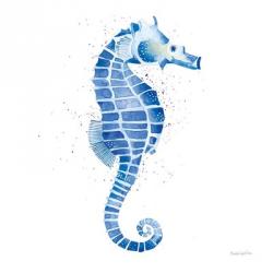 Seahorse | Obraz na stenu