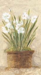 Garden White Narcissus Panel | Obraz na stenu