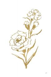 Gold Line Carnation III | Obraz na stenu
