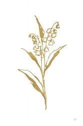 Gold Line Lily of the Valley II | Obraz na stenu