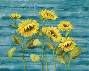Cottage Sunflowers Teal | Obraz na stenu