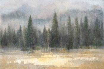 Misty Pines | Obraz na stenu