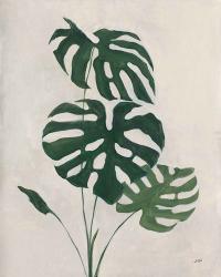 Palm Botanical I | Obraz na stenu
