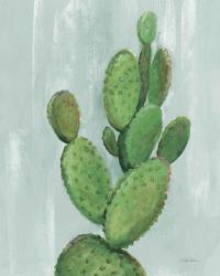 Front Yard Cactus I Slate | Obraz na stenu