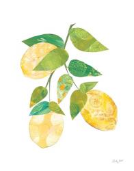 Summer Lemons I | Obraz na stenu