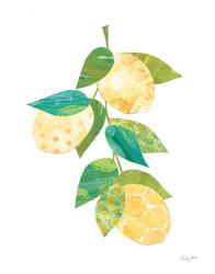 Summer Lemons II | Obraz na stenu