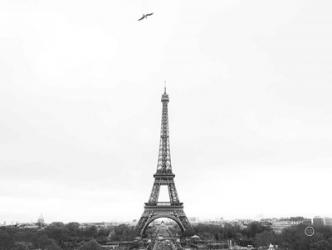 A Birds View of Paris | Obraz na stenu