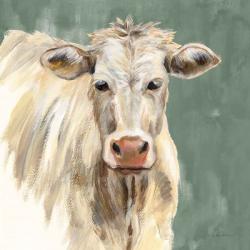 White Cow on Sage | Obraz na stenu